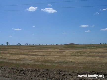 Rezervă - Askania-Nova - ceea ce mi-a plăcut și ce vreau să văd mai mult