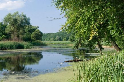 Заповідник білогір'я - гордість Бєлгородщини