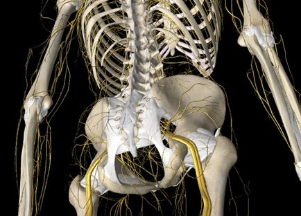 Strângerea nervului în partea inferioară a spatelui, durerea la nivelul piciorului, tratamentul cu injecții la domiciliu