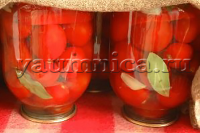 Засолка помідорів з цибулею - покроковий рецепт з фото - покрокові рецепти з фото