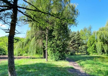 Мальовничі місця харківщини відпочиваємо в Роганском дендропарку