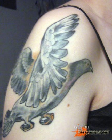Semn de porumbel Tattoo - Poze cu tatuaje