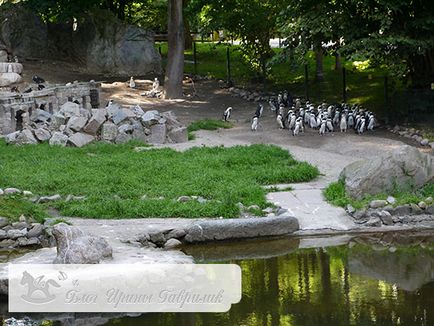 Gradina Zoologica si Olive Park din Gdansk - impresii si fotografii