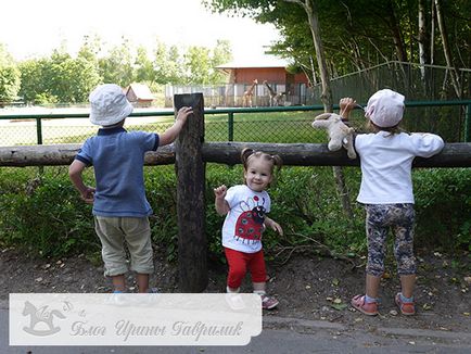 Gradina Zoologica si Olive Park din Gdansk - impresii si fotografii