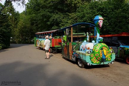 Зоопарк в Гданську