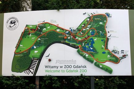 Állatkert Gdansk