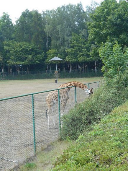 Gradina zoologica din Gdansk - o calatorie prin viata