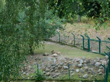 Gradina zoologica din Gdansk - o calatorie prin viata