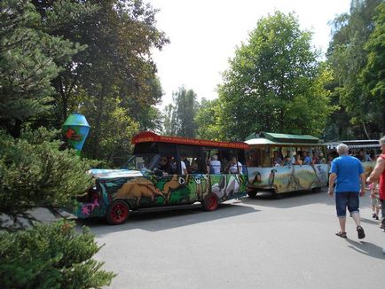 Зоопарк в Гданську - подорож по життю