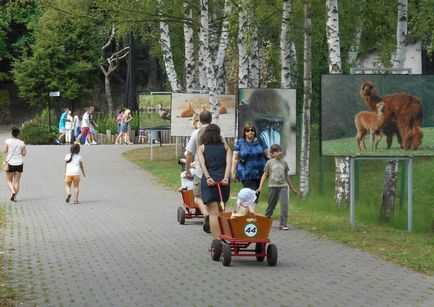 Gradina zoologica din Gdansk - o calatorie prin viata