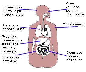 10 Съществува, които могат да живеят в нашето тяло