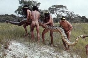 50-Метрова змія якумама з головою в людський зріст нападає на людей і корів