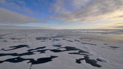 7 Причин цінувати арктичний морський лід - екологічний дайджест