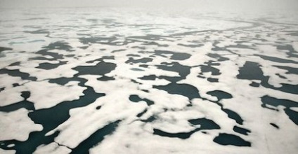 7 Motive pentru a aprecia gheața din Marea Arctică - digestarea mediului