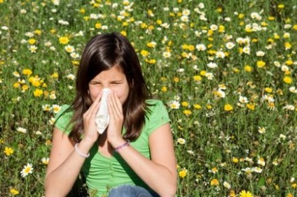 8. Tévhitek az allergia - egészség, életmód, a sajtó