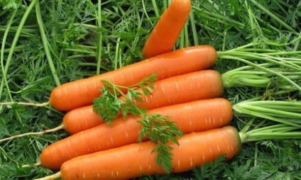 8 Способів зберігання моркви