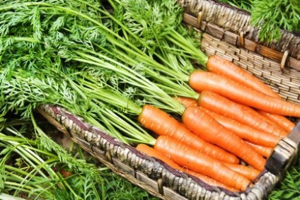 8 Способів зберігання моркви, які вас не підведуть!