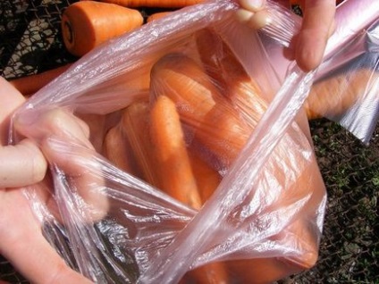 8 modalități de a stoca morcovi care nu vă va dezamăgi!