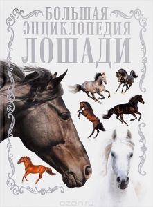 Алайськая вівці напівгрубововняні породи