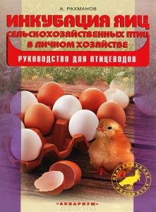 Алайськая вівці напівгрубововняні породи