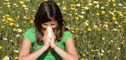 Allergiás a méz, pollen és más méhészeti termékek (pollen) Allergiás a méz, pollen és egyéb méhészeti termékek