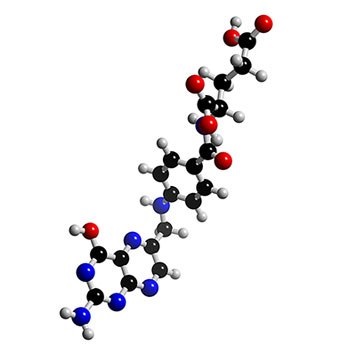 Aminoacizi ai compoziției proteinelor, formulei, absorbției, cum să le luați