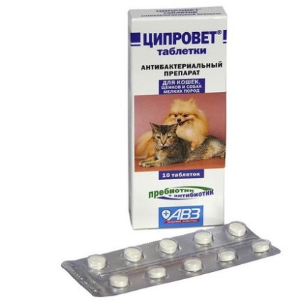 Preparate antibacteriene pentru câini, marfloxin, amoxicilină și ciprovet