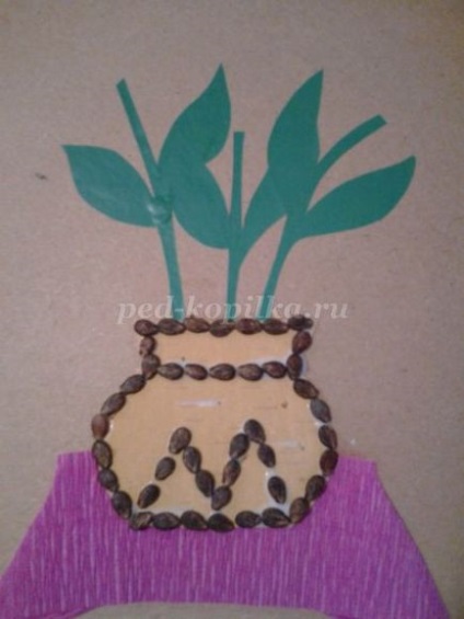 Аплікація з насіння рослин для дітей від 6 років своїми руками
