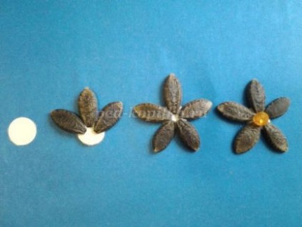 Aplicație din semințe de plante pentru copii de la 6 ani cu mâinile lor