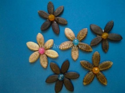 Aplicație din semințe de plante pentru copii de la 6 ani cu mâinile lor