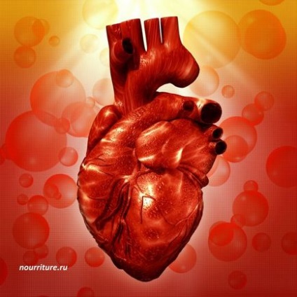 Атрофія серцевого м'яза медичний термін