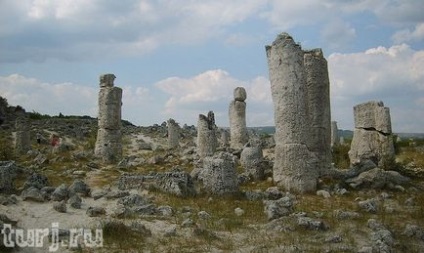 Bulgaria, valea - o pădure de piatră - un miracol natural într-un mic deșert