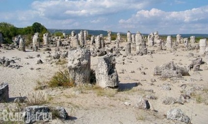 Bulgaria, valea - o pădure de piatră - un miracol natural într-un mic deșert