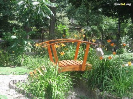 Ботанічний сад НУБіП в киеве