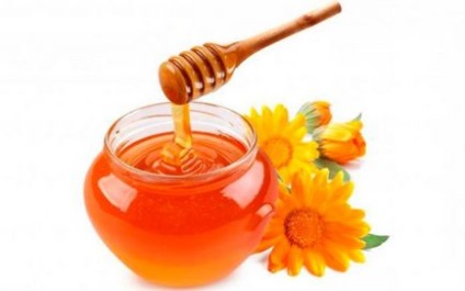 Брусниця з медом корисні властивості і рецепти