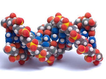Ланцюг ДНК картинки, схема молекули ДНК