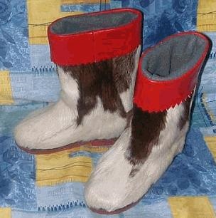 Care este mai bine - cizme, uggs sau torba, gospodării din Siberia