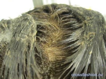 Crossfashion csoport - például a szürke színű predpigmentatsiya fokális szürke színek, és a sötét színek (predpigmentatsiya) Crossfashion csoport -, hogyan kell festeni a szürke haja predpigmentatsiya fokális szürke haja festett sötét színek
