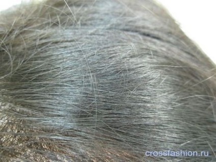 Crossfashion csoport -, hogyan kell festeni a szürke haja predpigmentatsiya fokális szürke haja festett sötét színek