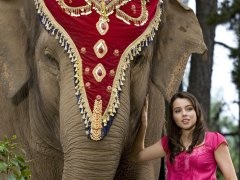 Gyermek TV sorozat Princess elefántok - sorozat gyerekeknek a csatornán karusszel