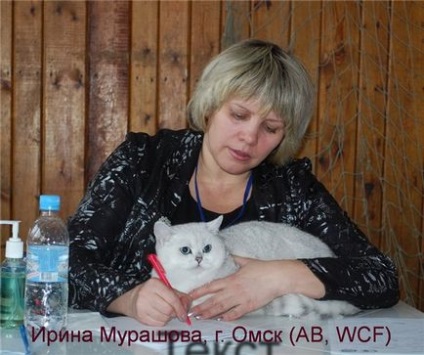 Dobrykokot - club de iubitori de pisici