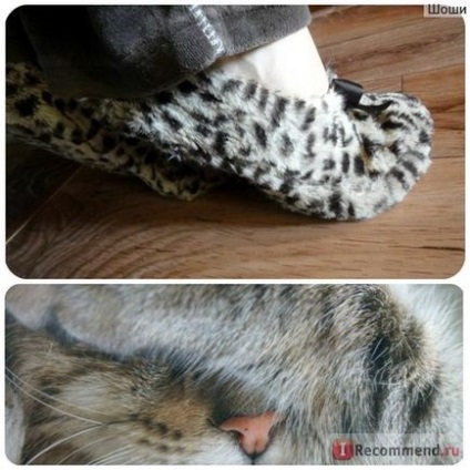 Acasă pantofi avon papuci pisică sălbatică - 