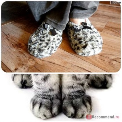 Acasă pantofi avon papuci pisică sălbatică - 