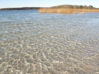 Donce - un lac din zona rezervată