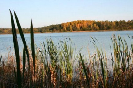 Donce - un lac din zona rezervată