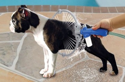 Duș pentru câini - cumpărați un duș circular pentru spălarea câinilor