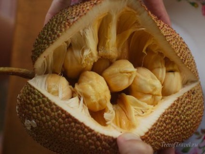 Jackfruit și chepedake sunt cele mai mari fructe din lume, pomul călătoriilor
