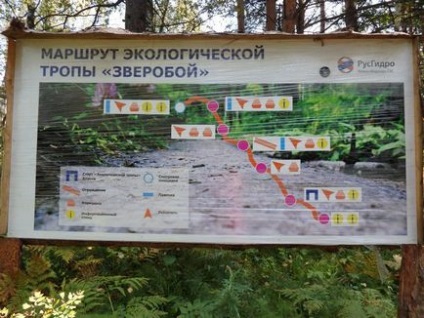 Calea ecologică a mustului Sf. Ioan, roci Berdski - se odihnește pe Altai, altai de munte, în regiunea Novosibirsk
