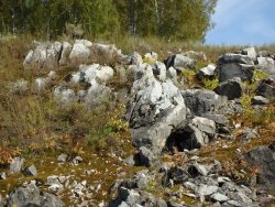 Calea ecologică a mustului Sf. Ioan, roci Berdski - se odihnește pe Altai, altai de munte, în regiunea Novosibirsk