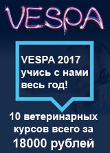 Якщо у вашої собаки або кішки почервоніли очі